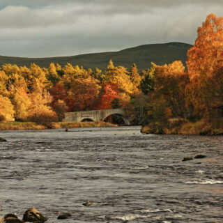 Old Spey Bridge