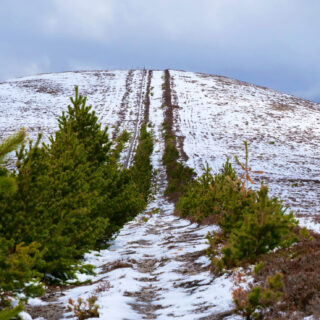 North-west towards Carn Daimh