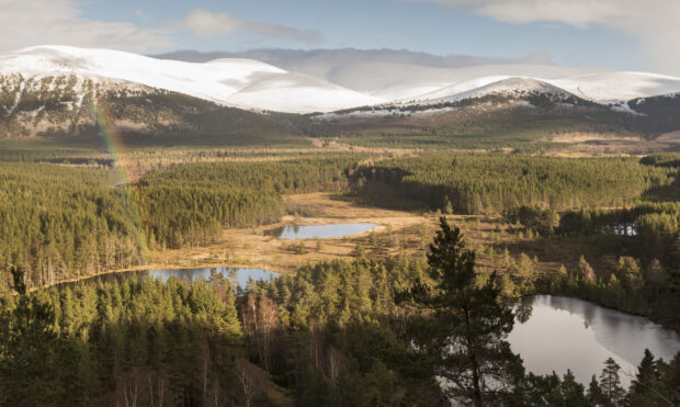 Uath Lochans and the Cairngorms
