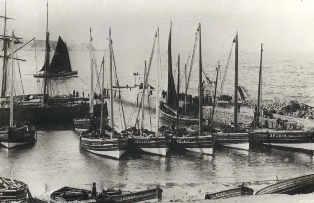 Cullen Harbour